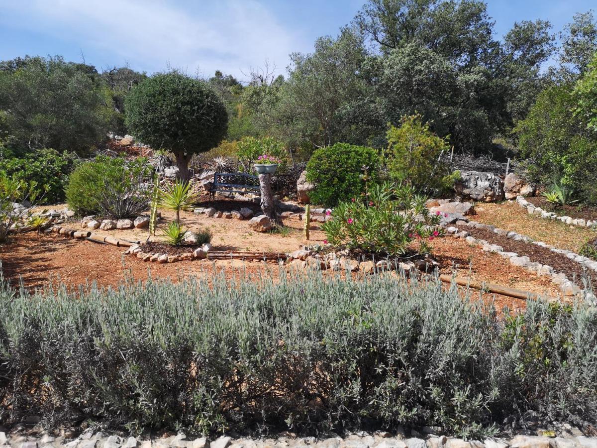 Quinta Da Familia Bed & Breakfast Loulé Dış mekan fotoğraf